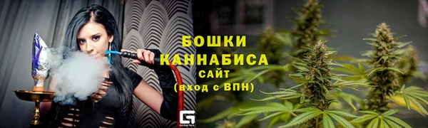 ПСИЛОЦИБИНОВЫЕ ГРИБЫ Касимов