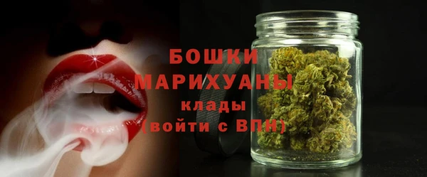 ПСИЛОЦИБИНОВЫЕ ГРИБЫ Касимов