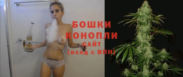ПСИЛОЦИБИНОВЫЕ ГРИБЫ Касимов