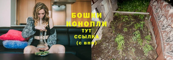 ПСИЛОЦИБИНОВЫЕ ГРИБЫ Касимов