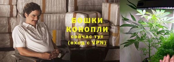 ПСИЛОЦИБИНОВЫЕ ГРИБЫ Касимов
