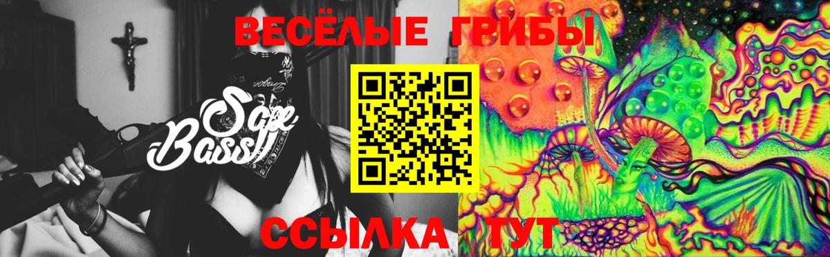 Галлюциногенные грибы мицелий  Псилоцибиновые грибы Psilocybe  Вход с VPN  Карасук 